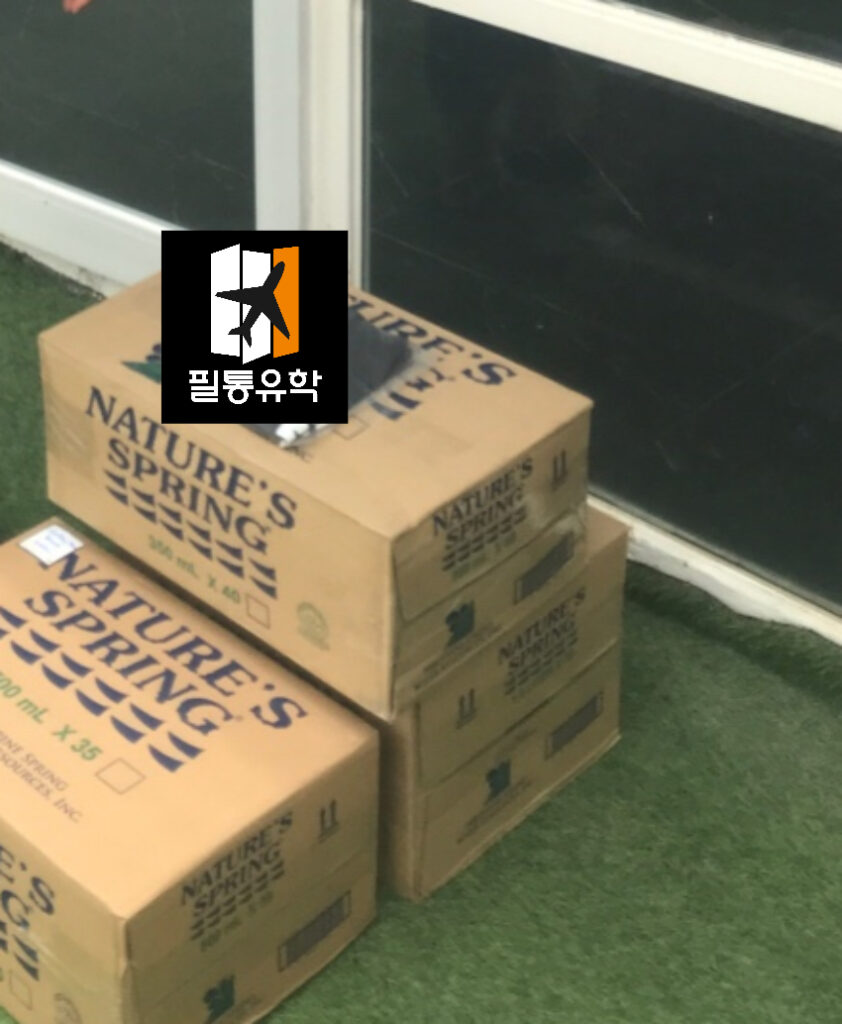smeag encanto 0421 배송완료