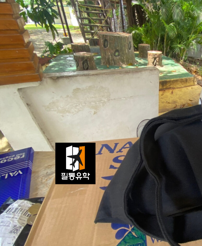 필리핀 정글 어학원 5월 20일 배송완료