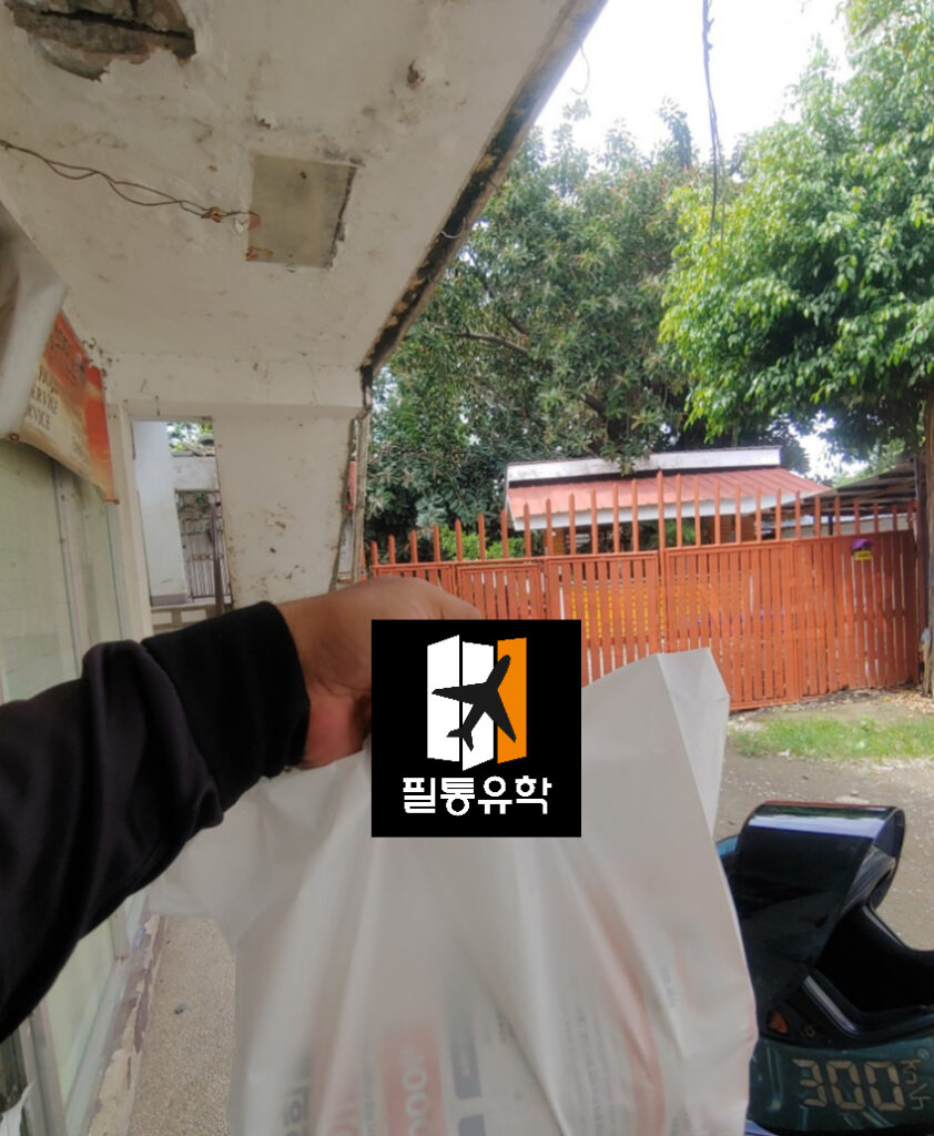 필리핀 정글어학원 6월 11일 배송완료