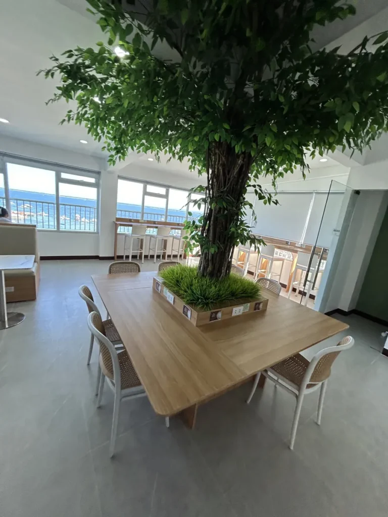 필리핀 세부 블루오션(BLUEOCEAN) 어학원 라운지로 우드 천장 아래 파란 소파와 인조나무, 바다 전망 창가 좌석이 어우러진 공간입니다