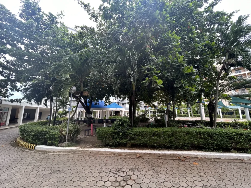 필리핀 세부 블루오션(BLUEOCEAN) 어학원 부지 내 야외 정원과 나무가 어우러진 학원 풍경
