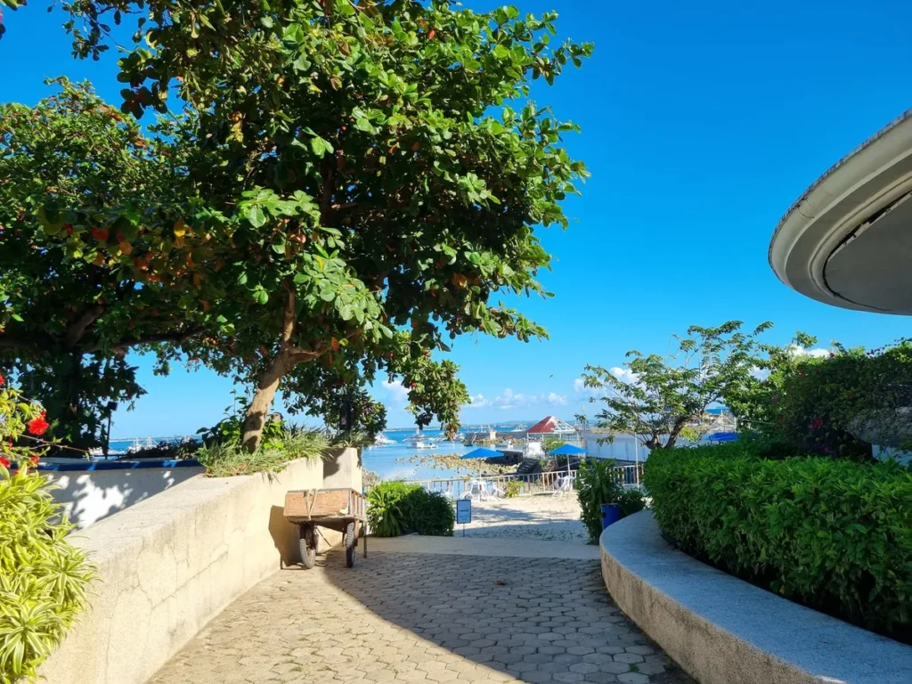 필리핀 세부 블루오션(BLUEOCEAN) 어학원 나무 그늘이 드리운 해변 산책로 너머로 바다가 보입니다