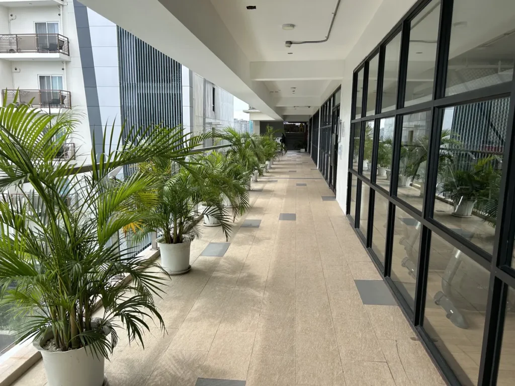 필리핀 세부 CIA어학원 잔디 정원에 흰색 구형 조명과 야자수가 놓이고 뒤로 본관 건물이 보이는 모습