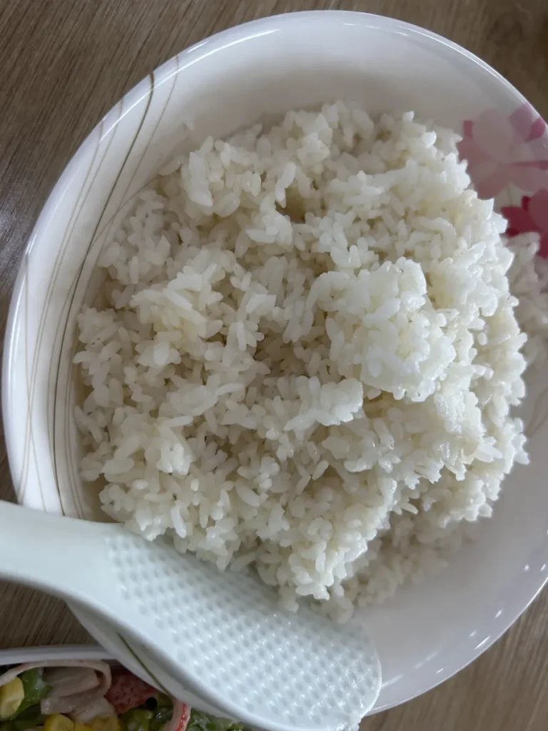 필리핀 바기오 CNS어학원 식사 갓 지은 흰쌀밥 한 그릇