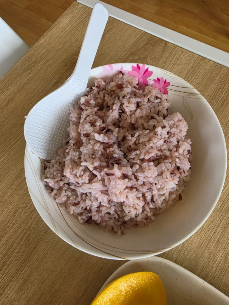 필리핀 바기오 CNS어학원 식사 흑미가 섞인 잡곡밥 한 그릇