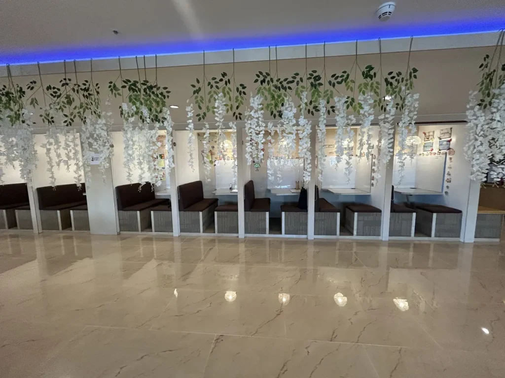 필리핀 세부 SMEAG엔칸토 1대1 수업실 넝쿨 장식 부스 벽면