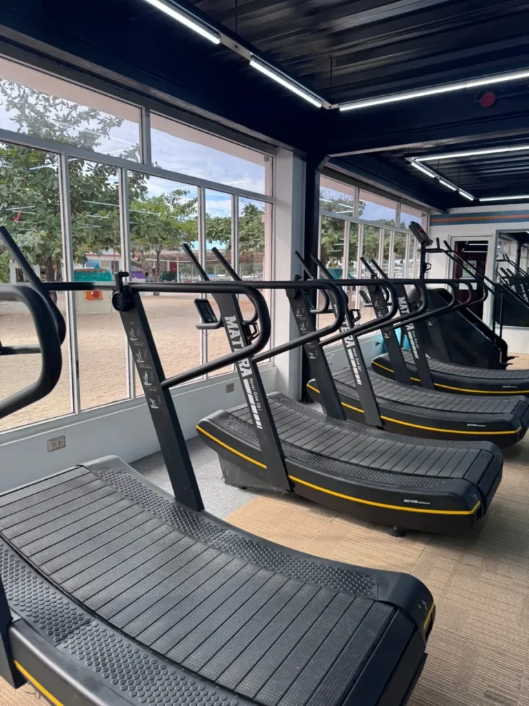 필리핀 세부 SMEAG엔칸토 헬스장 창가 곡선 트레드밀 열