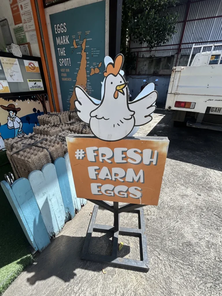 필리핀 세부 IMS어학원 주변 상권 신선 계란 판매점 에그셀시오 입간판