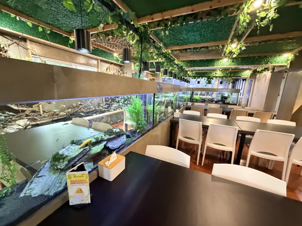 필리핀 바기오 MONOL어학원 식당 수족관과 화이트 의자 좌석