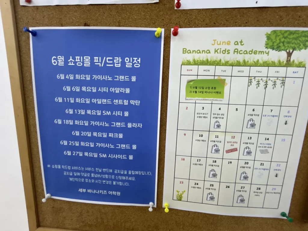 필리핀 세부 바나나키즈(BK) 어학원 부대시설 안내판으로, 6월 쇼핑몰 픽·드랍 일정표와 나무 그림의 6월 캘린더입니다.