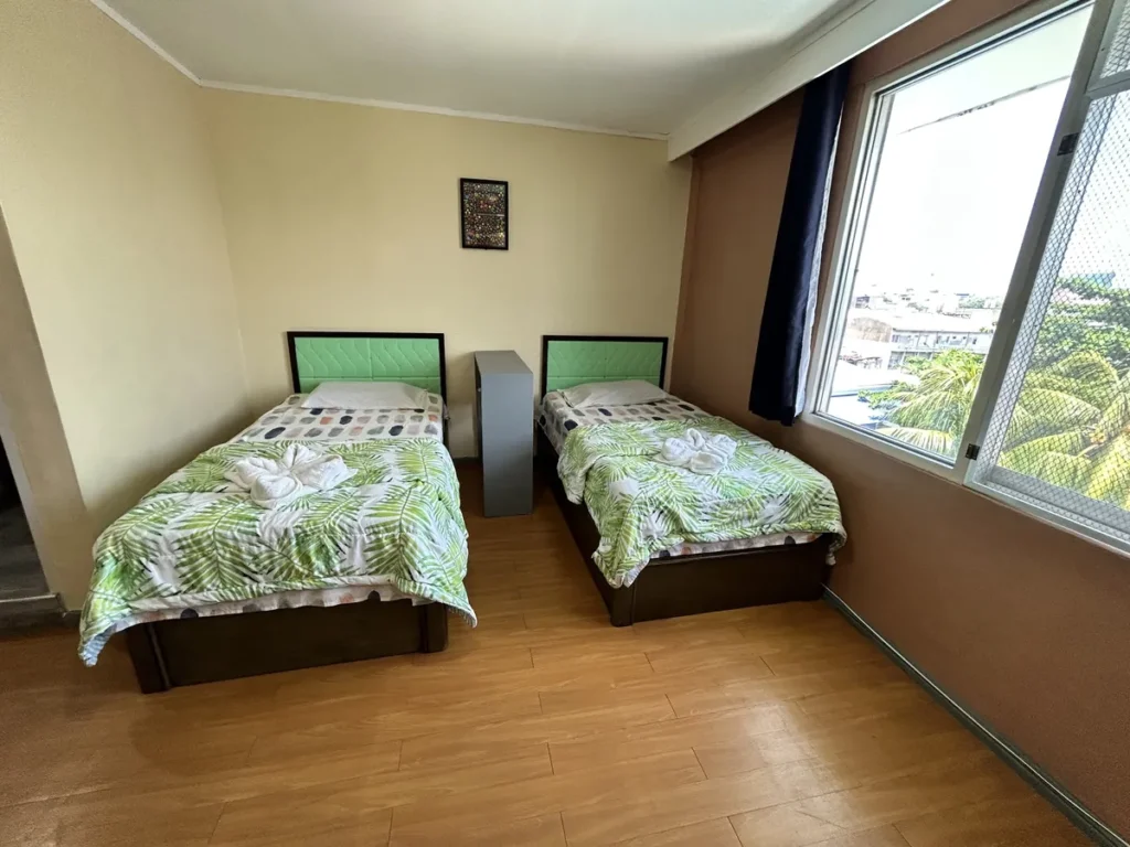 필리핀 세부 시필스(CPILS) 어학원 2인실 프리미엄룸으로, 초록 헤드보드 침대 2개 사이에 협탁을 두고 오른쪽 큰 창으로 야자수가 보이는 모습입니다.