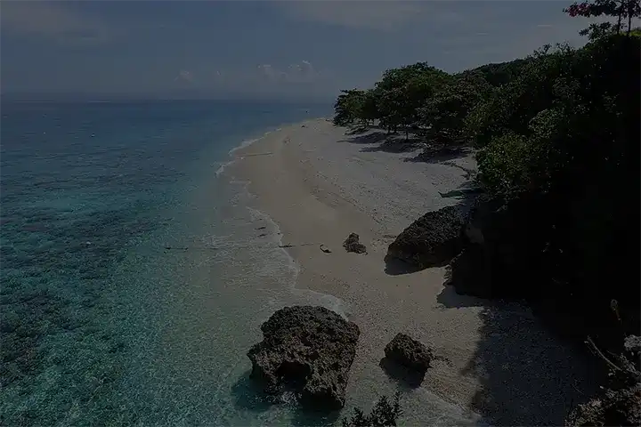 세부 호핑투어 및 렌탈 서비스